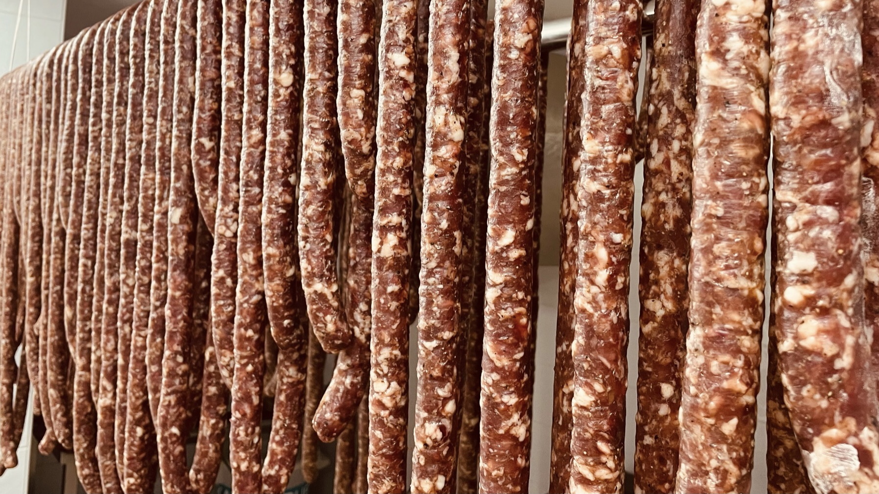 lorem ipsum dolor sit